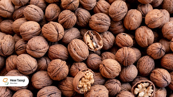فواید_گردو_چیست_حس_تازگی_2